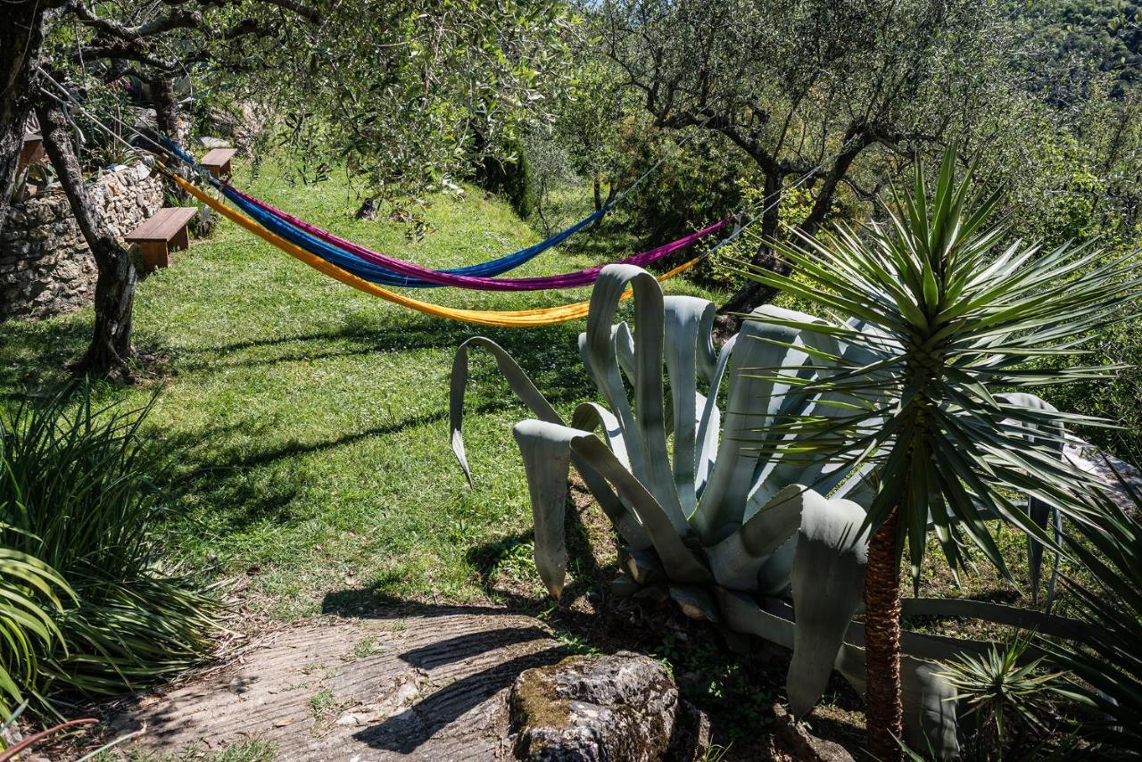 La Fattoria Di Nonna Eugenia Lerici Exterior foto