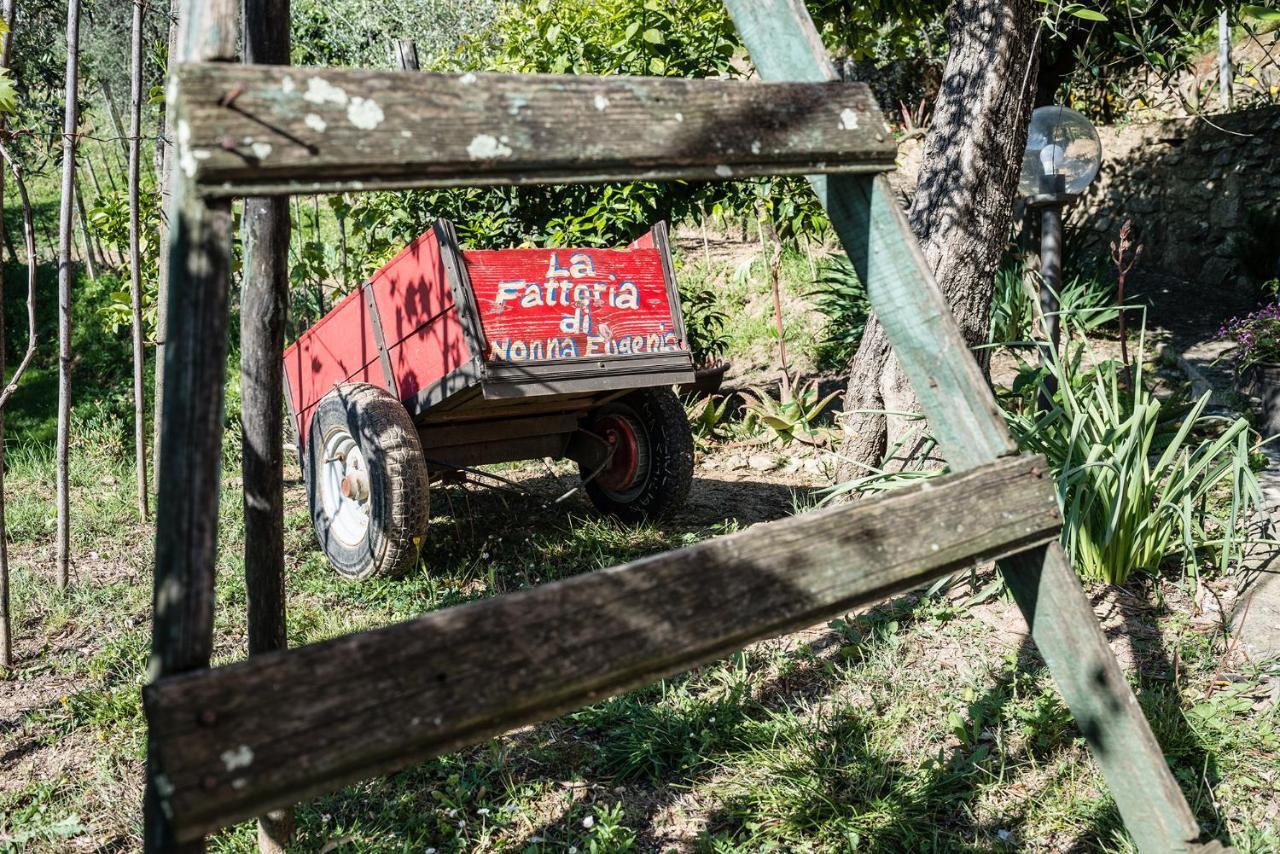La Fattoria Di Nonna Eugenia Lerici Exterior foto