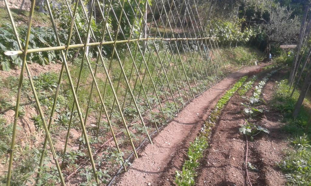 La Fattoria Di Nonna Eugenia Lerici Exterior foto
