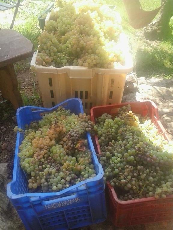 La Fattoria Di Nonna Eugenia Lerici Exterior foto